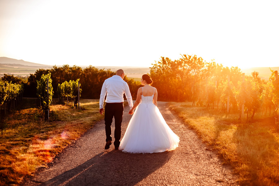 svatební foto vinohrad jižní morava hradištěk bílovice západ slunce vyhlídka